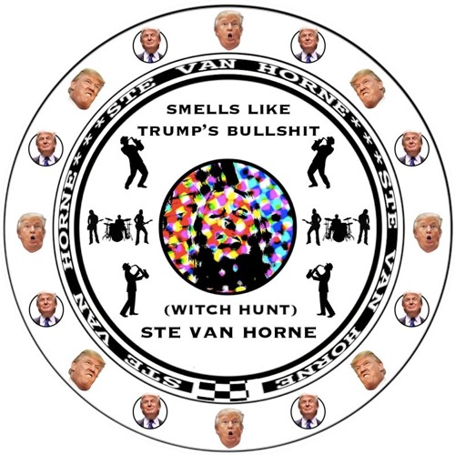 (WITCH HUNT)SMELLS LIKE TRUMP'S BULLSHIT