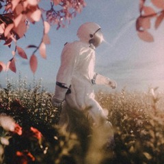 808s & Outer Space Vol 18: Bonnaroo Edition