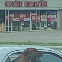 Parapadarappa(CASSETTE)