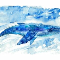 Cetacea