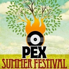 Live at PEX Summer Festival 10