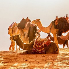 Desert3(Royalty Free Music)