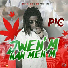 Jwen'm nan menm - PIC