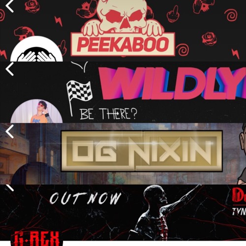 Peekaboo X OG Nixin X Wildlyfe X Solo Dolo (Negativez Zero ) Mash Up