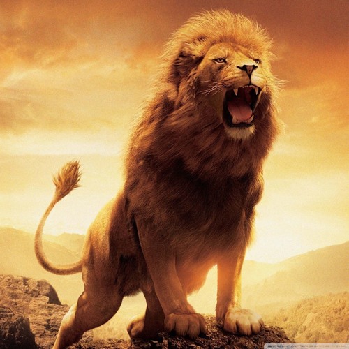 走了就别后悔 DJ