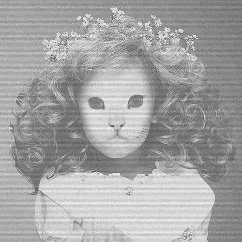 Mr.Kitty – A New Hour