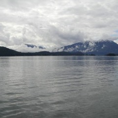 can't help falling in love - elvis presley