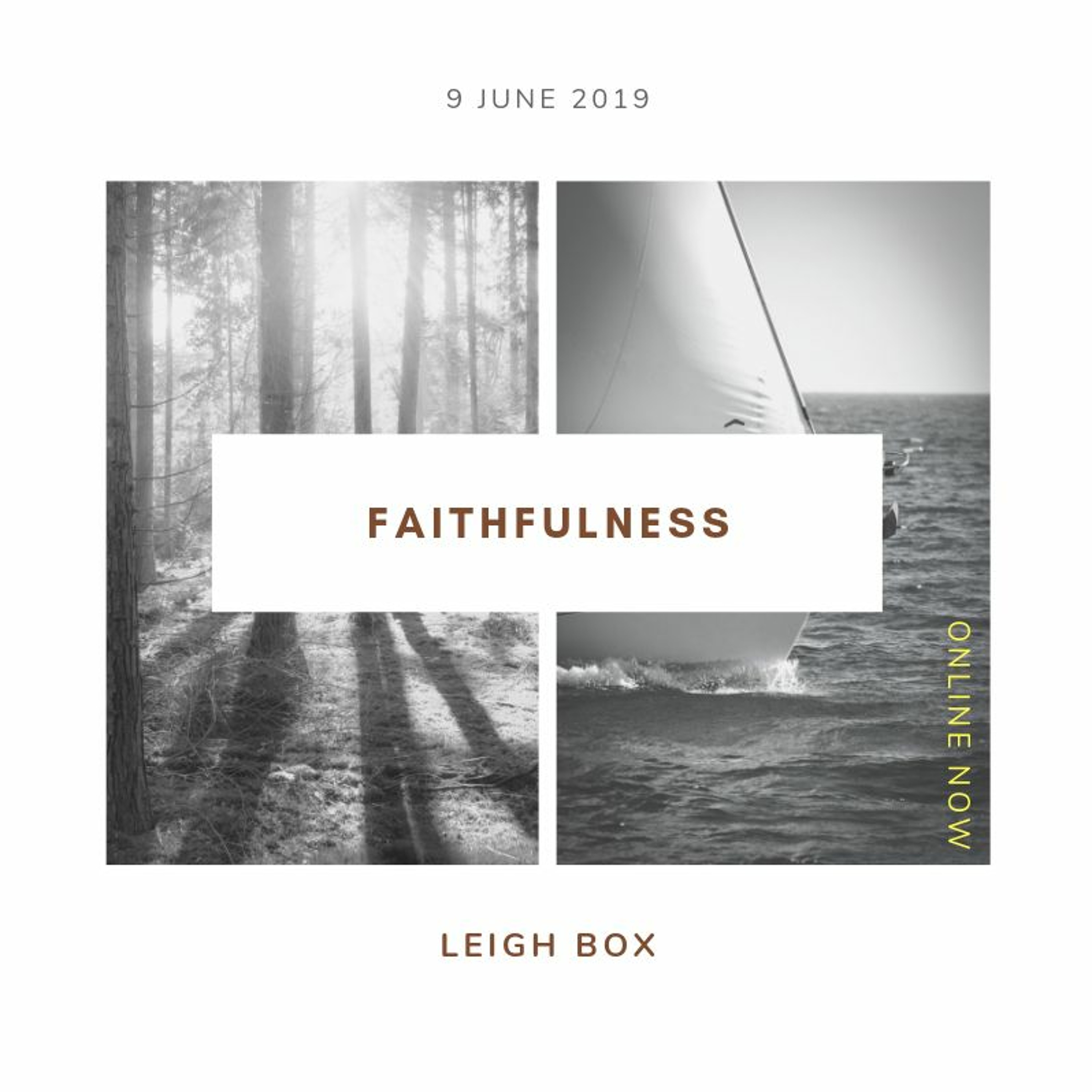 Faithfulness. Leigh Box // 09.16.19