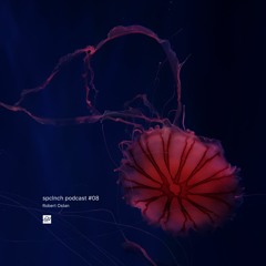 spclnch podcast #08 / Robert Ostan