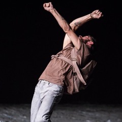 Εleph ants in Back packs