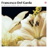 DIM173 - Francesco Del Garda DJ mix artwork - Electronic music tracklist cover image
