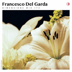 DIM173 - Francesco Del Garda