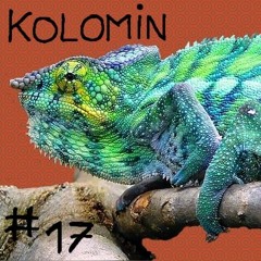 chameleon #17  Kolomin - Such is the World