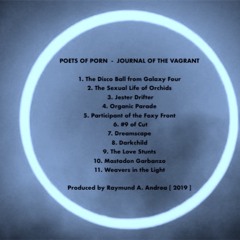 Poets of Porn - "The Disco Ball from Galaxy Four" [ Live 2019 - Excerpt ]