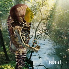 Premiere: FU - 5 - Aneirin [Subsist Records]