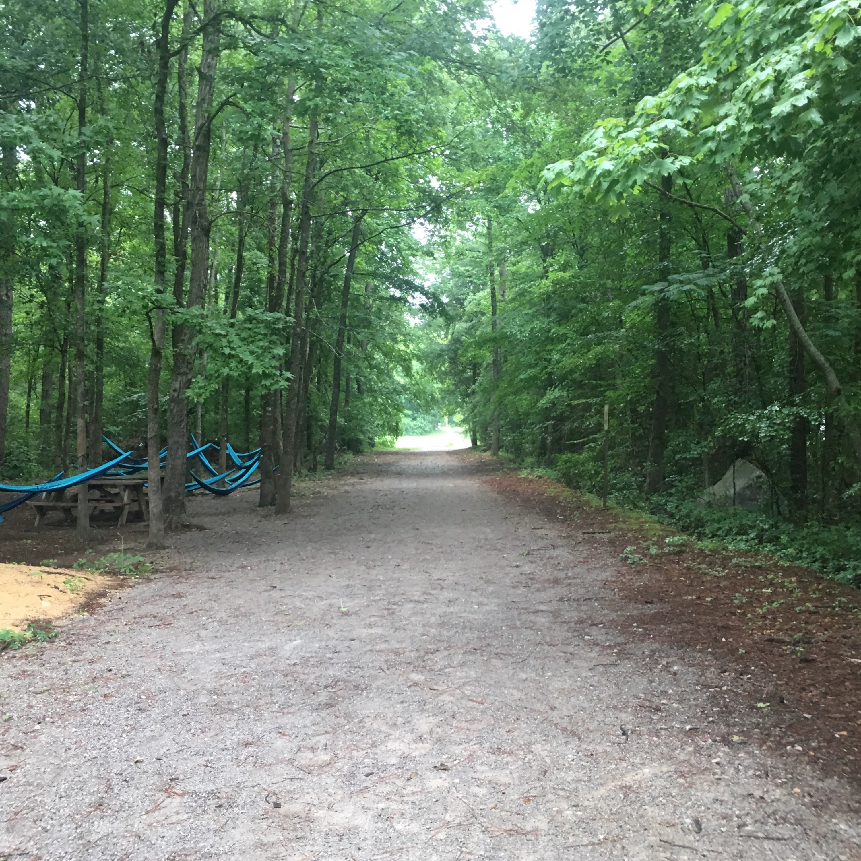 Marathon & Ultra Running Podcast - With Suman Silwal