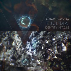 Euclidia