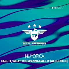 Call It, What You Wanna Call It (Alcoholic) (Extended Mix)
