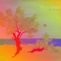 PREMIERE: Pines In The Sun - Zig Zag Sea (Duncan Gray Remix)