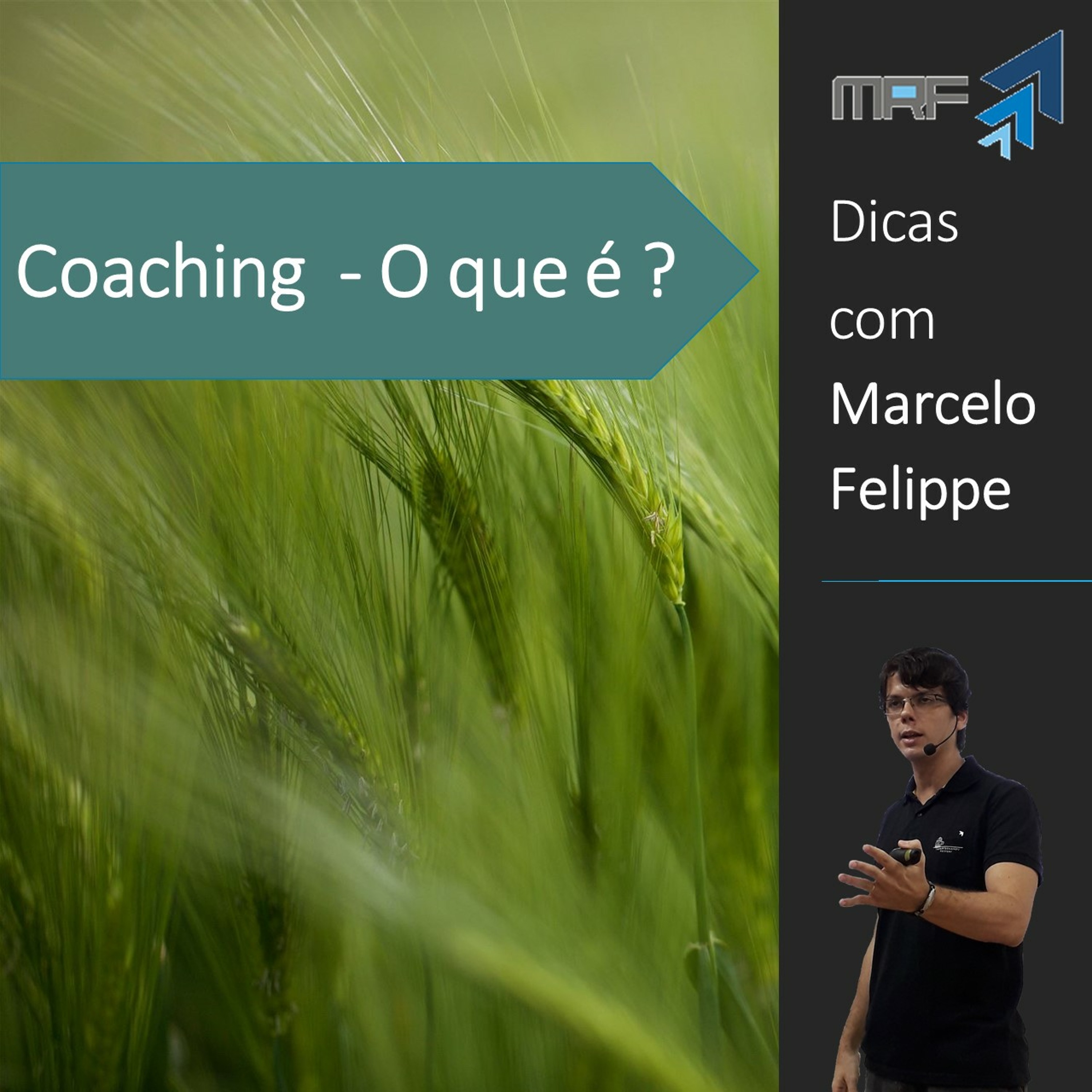 Marcelo Felippe