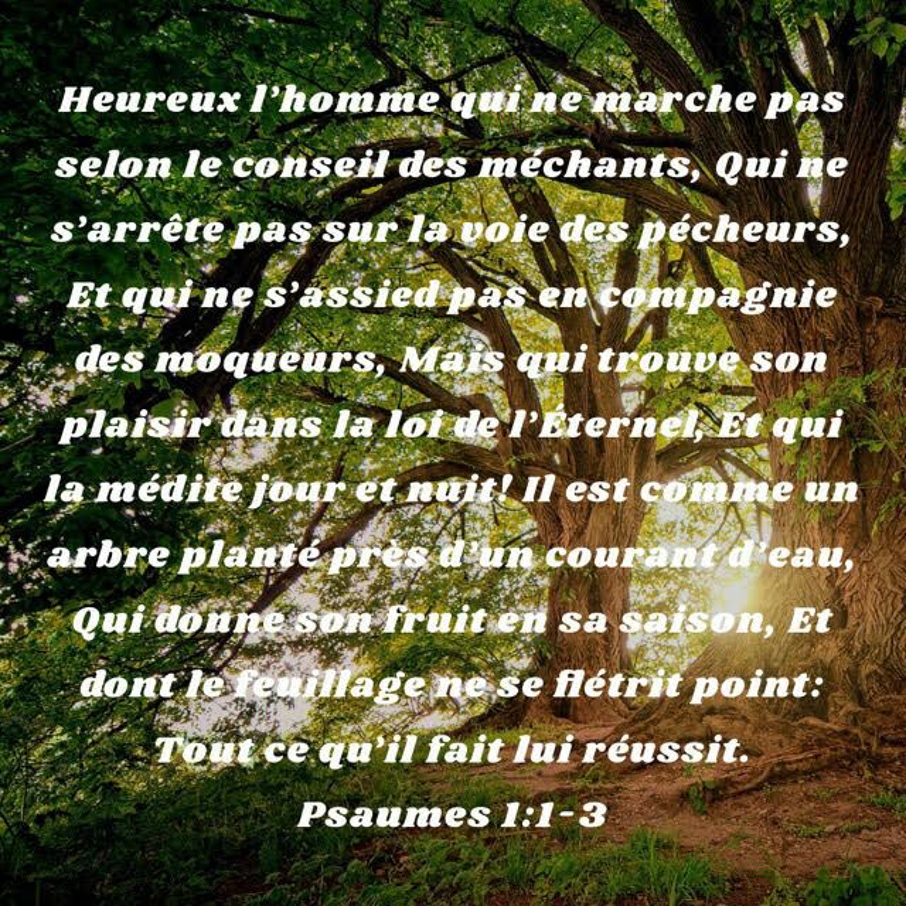 365Histoires