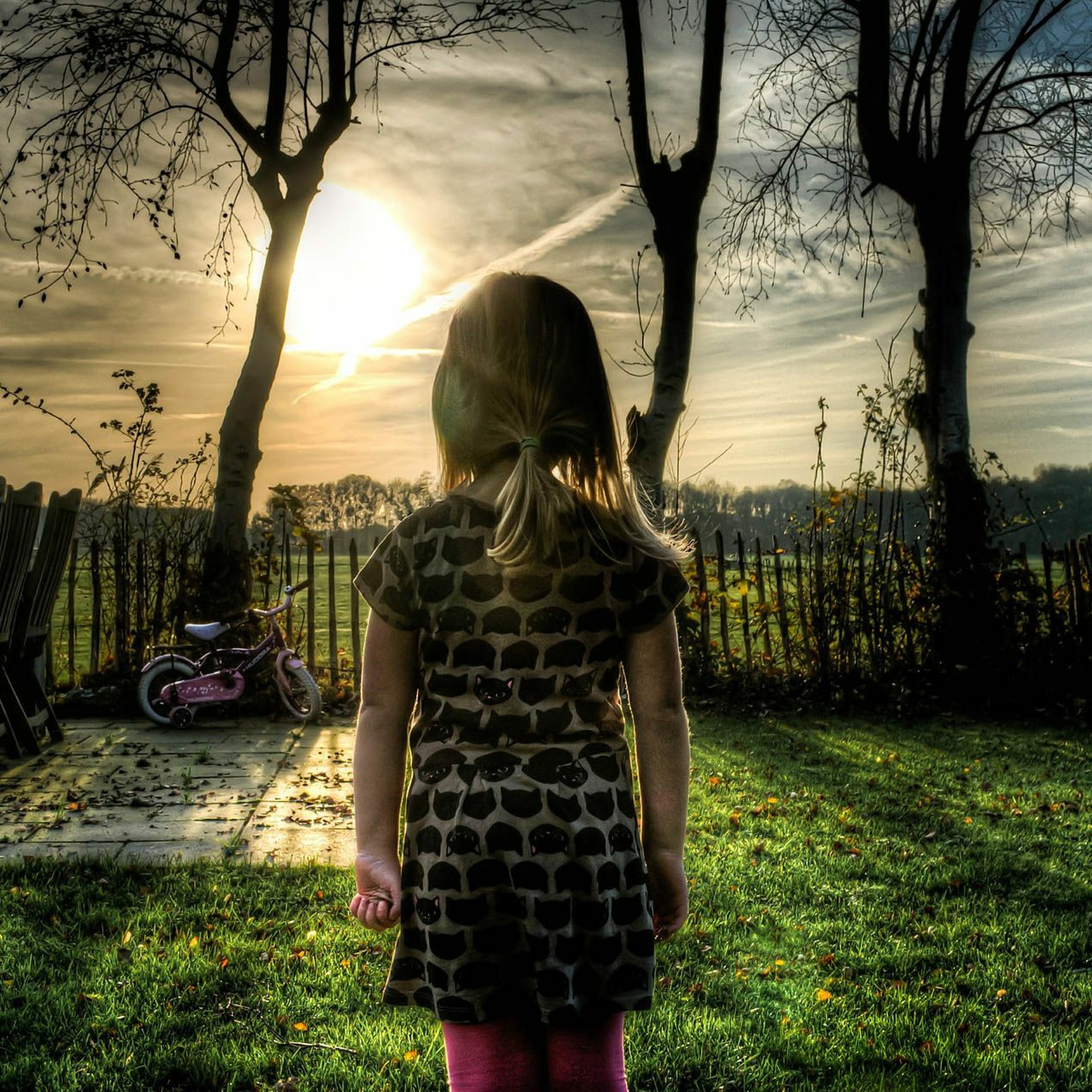 365Histoires