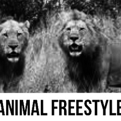 Bigga X B-Hill Animal Freestyle