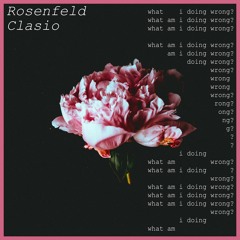 Clasio x Rosenfeld - What Am I Doing Wrong?