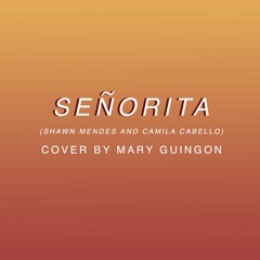 Señorita Cover (Shawn Mendes and Camila Cabello)