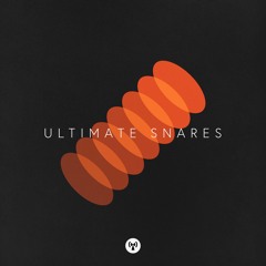 Noiiz - Ultimate Snares Demo