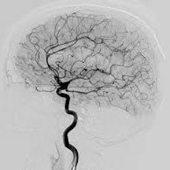 CEREBRAL BLACK OUT