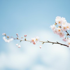 little cloud - from nowhere