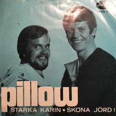 Pillow - Sköna Jord