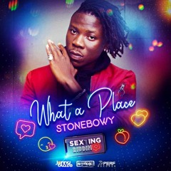 Stonebwoy - What A Place
