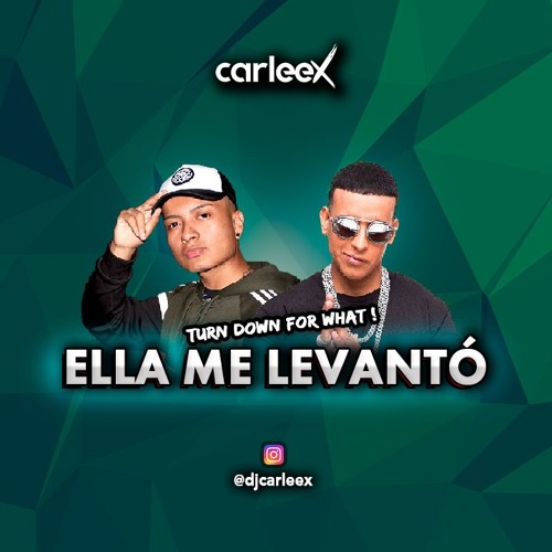 Daddy Yankee - Ella Me Levantó (Turn down for what) (By CARLEEX)