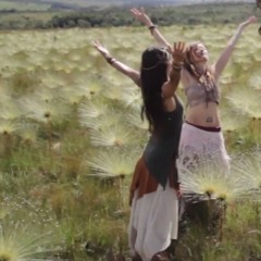 Oa segredos vem da floresta