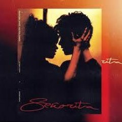 Señorita Funk (Reni B Mashup) Free DL > Buy