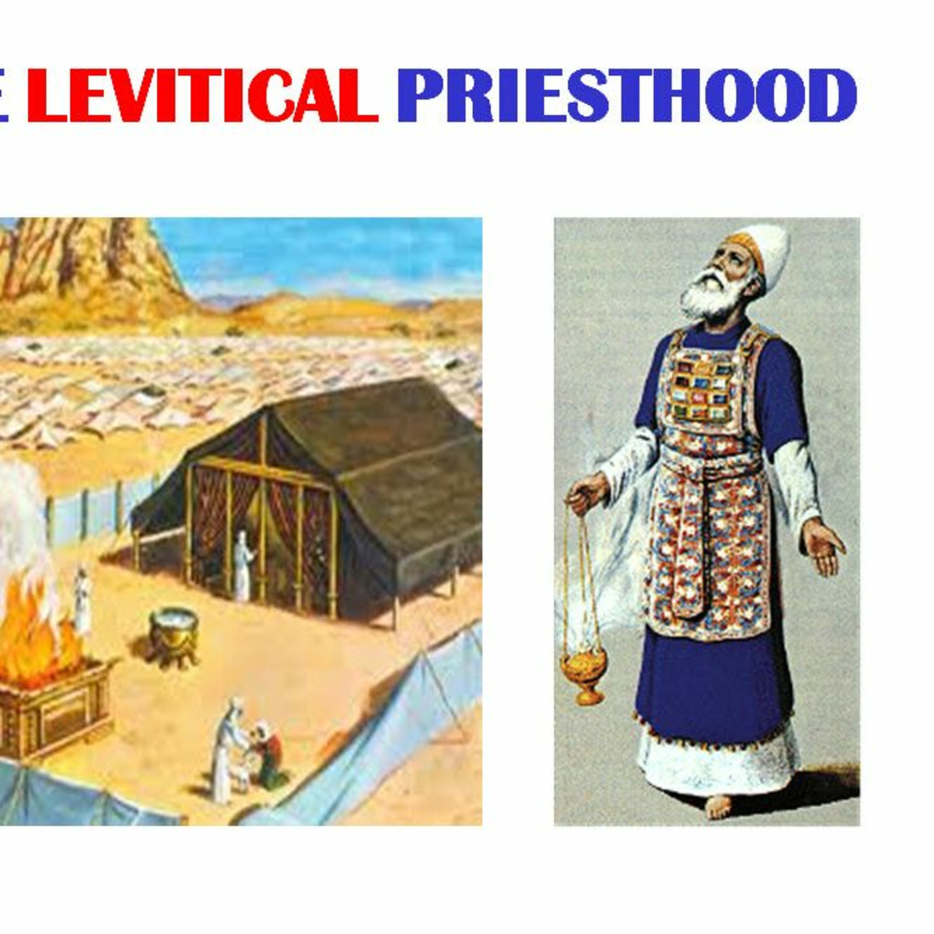 Levitical Priesthood Pt 1 ~ What is the Levitical Priesthood? episode artwork