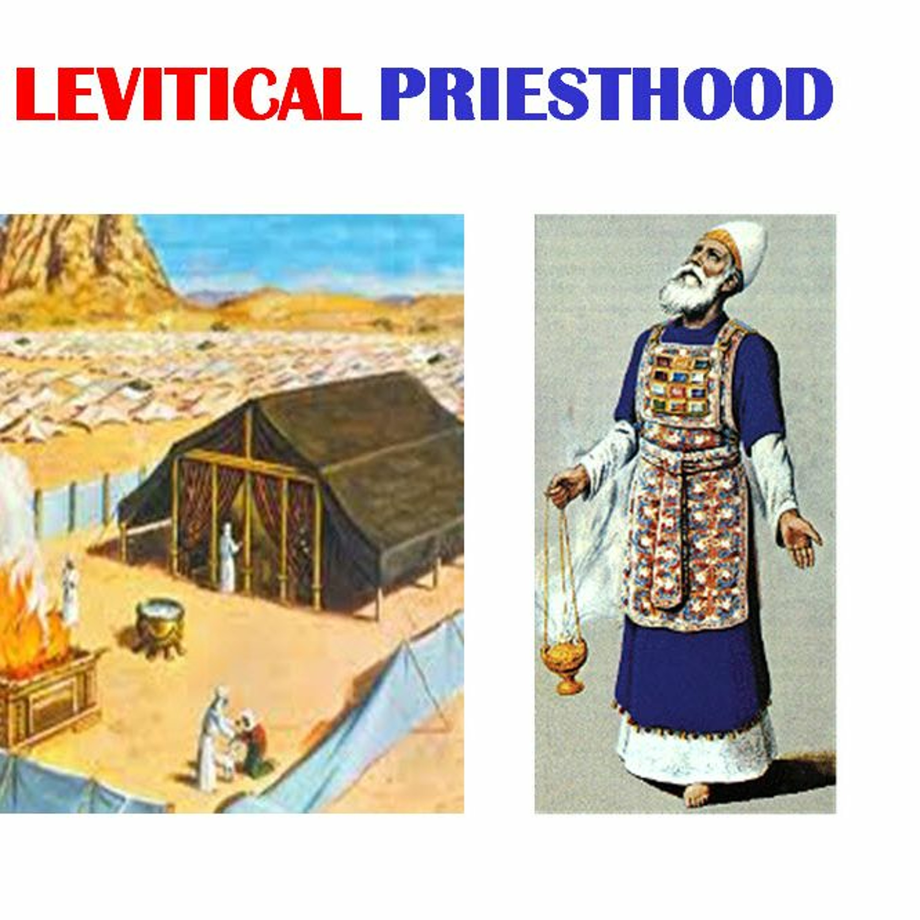 Levitical Priesthood Pt 5 ~ Levitical Priests in the Messianic Era episode artwork