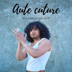 dirtilarita - aute cuture 💅🏽 (moombahton edit)
