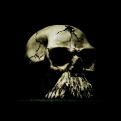 z-raw (free dl)