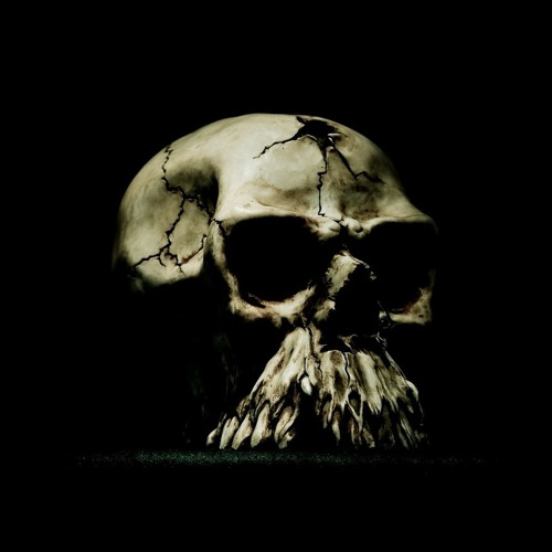 z-raw (free dl)