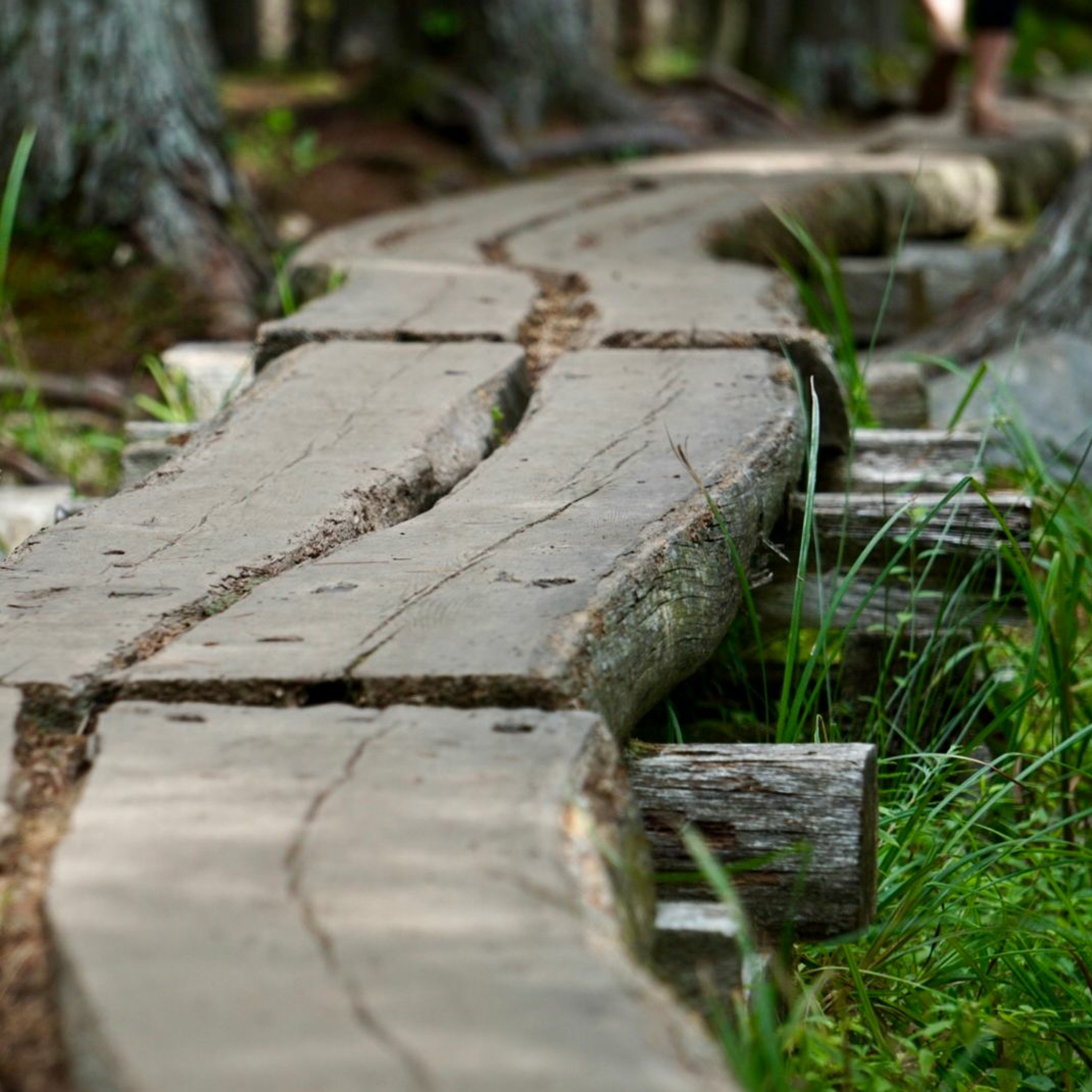 Music by Chris Walton