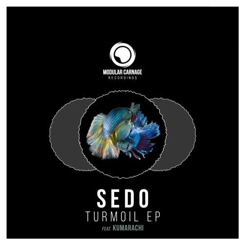 Sedo - Moving Target