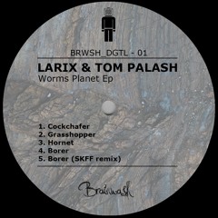Larix & Tom Palash  - Borer(SKFF Remix)