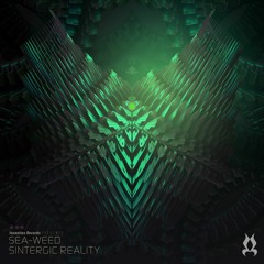 Sea-weed - Sintergic Reality, OUT NOW!