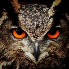 DjSensuel Sinus Rádió Live Mix 2019.06.27