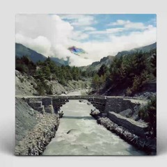 Super Flu – Insi