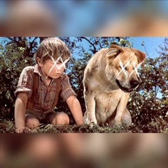Old Yeller