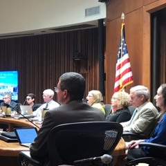 Episode 28: Grow Up, Raleigh Council